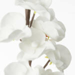 Orchidea művirág 717 fehér