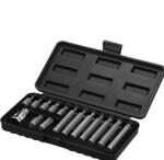 Wert Set de biti torx Wert 2243, 15 bucati (W2243) Set capete bit, chei tubulare