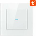 Avatto N-TS10-W1 1 Way TUYA Smart Wifi fényerőszabályzó kapcsoló relé - Fehér (N-TS10-W1)