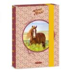 Ars Una My Sweet Horse lovas füzetbox - A5 (50863587)