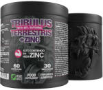 Zoomad Labs Tribulus + Zinc - Tribulus + Zinc (60 Capsule)