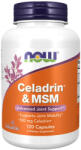NOW Celadrin & MSM 500 mg (120 Capsule)