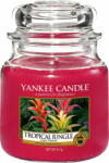 Yankee Candle Yankee Candle, Tropical Jungle, Lumanare intr-un borcan de sticla 411 g (NW1750944)