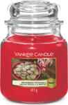 Yankee Candle Prajituri Yankee Candle Peppermint, Lumanare intr-un borcan de sticla, 411 g (NW3491123)