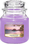 Yankee Candle Yankee Candle, Bora Bora Coast, Lumanare intr-un borcan de sticla 411 g (NW3411932)