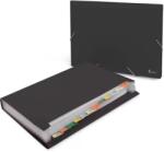Forpus Mapa de plastic, 12 compartimente, negru, FORPUS (FO21641)