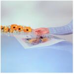 Xerox Etichete transparente din poliester, A3, 230 g/mp, 50 coli/top, Alberta XEROX (007R90526)