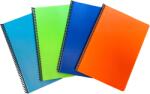 Ilijanum Caiet cu spira A4, 60 file, matematica, coperta PP, ILIJANUM (CI800194)