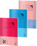 Pigna Caiet capsat A4, 80 file, matematica, PIGNA Basic (CC-A480M00)