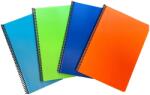 Ilijanum Caiet cu spirala A5, 60 file, coperta PP, matematica, ILIJANUM (CI800217)
