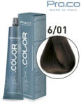 Pro.co Vopsea de par profesionala PRO. COLOR 100 ml - Pro. Co - 6/01 BLOND ÎNCHIS CENUSIU