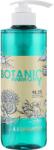Stapiz Șampon - Stapiz Botanic Harmony pH 4.5 Shampoo 500 ml