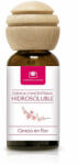 Crisalida Esenta hidrosolubila difuzor aromaterapie/umidificator aer, Cristalinas, Floare de cires, 25 ml (10015927)