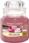 Yankee Candle Yankee gyertya, édes szilva szaké, gyertya üvegedényben 104 g (NW3477013)