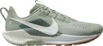 Nike Pegasus Trail 5 Terepfutó cipők dv3864-304 Méret 43 EU Férfi futócipő