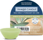 Yankee Candle Yankee Candle, Salvie si citrice, Ceara parfumata 22 g (NW3499770)