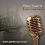  Hallgatni akartam [eHangoskönyv]