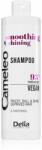 Delia Cosmetics Cameleo Smoothing & Shining kisimító sampon a rakoncátlan és töredezett hajra 400 ml