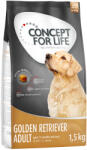 Concept for Life 1, 5kg Concept for Life Labrador Golden Adult száraz kutyatáp 15% árengedménnyel