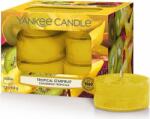 Yankee Candle Lumânare Yankee, Stele suculente sărutate de soare, Lumânări de ceai, 12 buc (NW3476992)