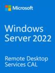 Microsoft Windows Server 2022 Remote Desktop Services (RDS)