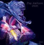 V/A Pop Ambient. . -download-