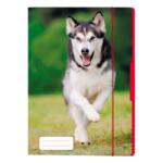 Herlitz Mapa A4 Inchidere Cu Elastic Rosu, Dog (50001583)