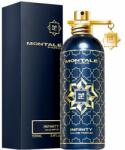 Montale Infinity EDP 100 ml Parfum
