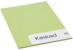 KASKAD Dekorációs karton KASKAD A/4 2 oldalas 225 g lime zöld 66 20 íves 623866/806066 (623866/806066)
