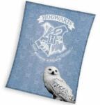 Carbotex Harry Potter: Hedwig mintás polártakaró - 130 x 170 cm