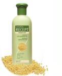 Stella Recept Against Hair Loss hajhullás elleni sampon 400 ml