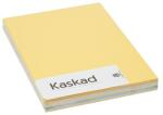 KASKAD Dekorációs karton KASKAD A/4 160 gr pasztell vegyes színek 5x25 ív/csomag 621101 (K57) (621101 (K57))