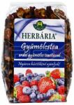 Herbária Herbária Gyümölcstea Erdei Gyümölcs Darabokkal 120g