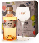 G'Vine June by G'Vine Wild Peach Gin DD. + Pohár (0, 7L 37, 5%)