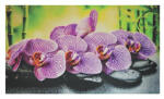 ANRO Wall 60x100 cm XXL 3D PVC dekorpanel, konyhapanel, műanyag fali kép - Orchidea Zen (TP10019558)