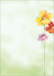 SIGEL Előnyomott papír, A4, 90g, SIGEL "Spring Flowers (SIDP123) - irodaoutlet