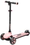 Cariboo Easy Go (V300)