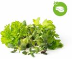 Click & Grow Mix Steak&Grill, capsule cu semințe și substrat 9 buc (PPMSSX9)