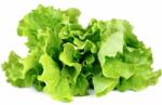 Click & Grow salată verde, capsule cu semințe și substrat 3 buc (SGR32X3)