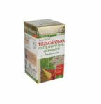 Naturland prémium tozegáfonya-feketeáfonya-cickafarkfu tea 24 g - mamavita