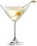 Tescoma CHARLIE martini pohár 450 ml (306418.00)