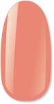 NiiZA Gel Polish 4ml - 485 Hemamentes