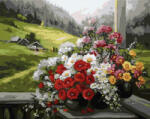 Ipicasso Set pictura pe numere, cu sasiu, Peisaj alpin, 40x50 cm (PC4050206) Carte de colorat