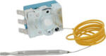 Fagor Thermostat 1-phase 60 °c Tecasa