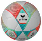 ERIMA labda (futball, Hybrid Lite 290) // kifutó termék 7192408-4