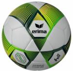 ERIMA labda (futball, Hybrid, Futsal) 7192412-4