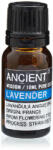 Ancient Wisdom LEVENDULA ILLÓOLAJ - 10 ml (EO-01)