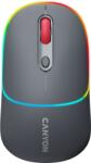 CANYON MW-22 (CNS-CMSW22DG)