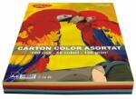 DACO Carton colorat A4, 120 g/mp, 100 coli/top, 10 culori, DACO (CN120) - roveli