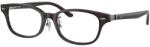 Ray-Ban RB5427D 8290
